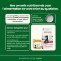 Visuel 4 sur 5