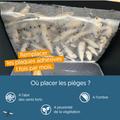 Visuel 5 sur 9