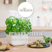 Visuel 4 sur 4