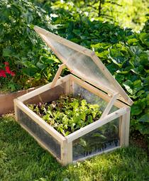 Un châssis ouvert avec des semis de salades