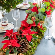 Un chemin de table fait de poinsettias, mousse et autres décorations naturelles pour Noël
