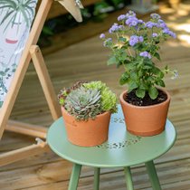 Zoom sur une table basse verte avec des végétaux en décoration