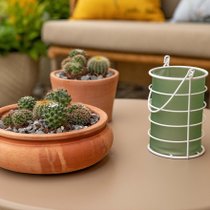 Zoom sur un photophore vert posé sur une table à côté de cactus