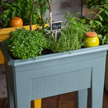 Zoom sur un potager sur pied