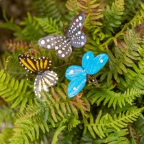 Des piques en forme de papillon dans une fougère