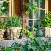 Zoom sur un rebord de fenêtre décoré grâce à des pots en osiers fleuris