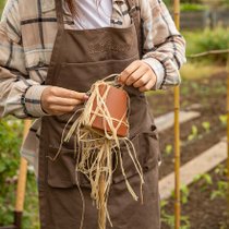 Accueillir la biodiversité au jardin