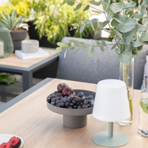 Une table de jardin avec des fruits et une lampe