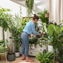 Une femme s'occupe de plantes vertes d'intérieur.