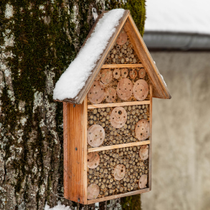 Un hôtel à insectes accroché à un arbre.