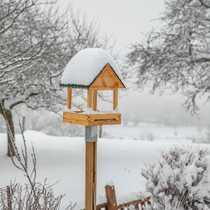 Un mangeoire sous la neige.