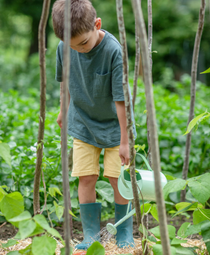 Un petit garçon qui arrose le potager