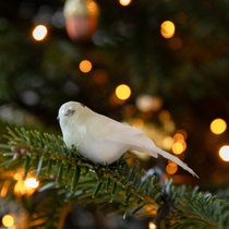 Une suspension de sapin oiseau