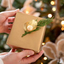 Un cadeau emballé pour noël