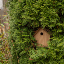 Un nichoir dans un arbre pour accueillir les oiseaux