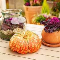 Des décorations d'automne sur une table