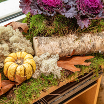 Une commode décorée pour l'automne