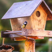 Nichoir en bois pour les oiseaux du jardin