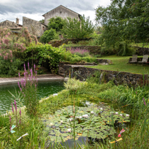 Un grand jardin avec une piscine naturelle