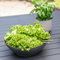 Un bol de salade sur une table de jardin