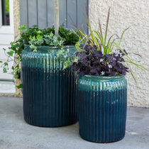 Des pots de plantes
