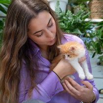 Femme qui tient un chaton roux