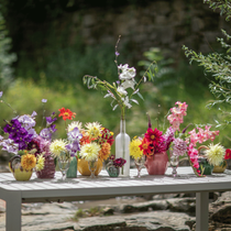 Des fleurs dans des vases