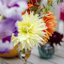 Des fleurs dans des vases