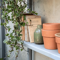 Une étagère avec des livres et des pots