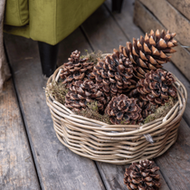 Un panier avec des pommes de pin