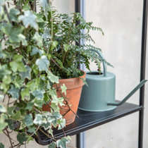 Une étagère avec des feuillages et un arrosoir