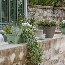Presentation d'une jolie jardinière d'automne