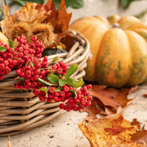 Un panier aux couleurs de l'automne