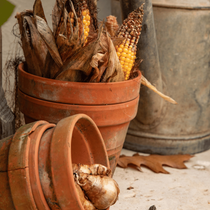 Inspiration de pots terre cuite en automne