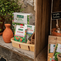 Des graines de fleurs botanic à semer