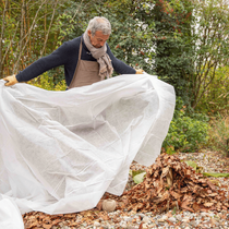 L'hivernage des plantations à l'automne