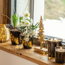 Un rebord de fenêtre décoré pour Noël avec des plantes et des bougies