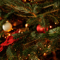 Des boules de Noël en verre