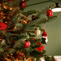 Un zoom sur un sapin de Noël