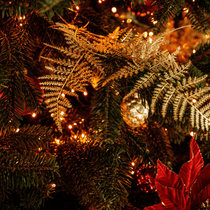 Un sapin décoré avec une branche de cyprès doré