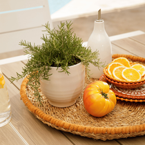 Petites décorations posées sur une table : tomate, pot, petite plante et tranche d'orange