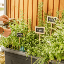 Un homme en train de prendre soin de ses aromatiques sur son balcon