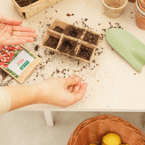 Une personne entrain de faire des semis avec des graines de radis