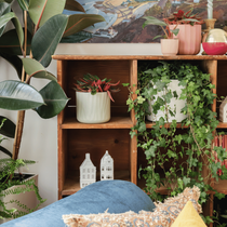 Un meuble en bois avec des plantes d'intérieur et du liere