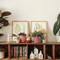 Des pots roses posés sur un meuble en bois avec des plantes vertes et des cadres photos