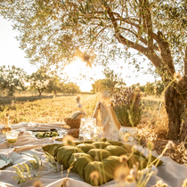 Un pique-nique réalisé dans un champs d'oliviers sous un arbre avec du textile et de la vaisselle