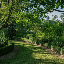 Un jardin avec des arbres et des arbustes