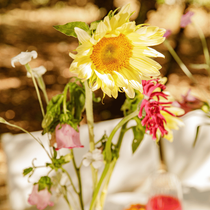 Des fleurs d'été dans un vase sur une table