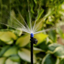 Un système d'arrosage automatique dans un jardin