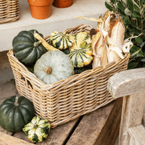Un panier en osier rempli de citrouilles et d'épis de maïs